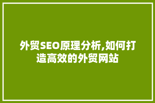 外贸SEO原理分析,如何打造高效的外贸网站 外贸SEO原理分析,如何打造高效的外贸网站 GoogleSEO