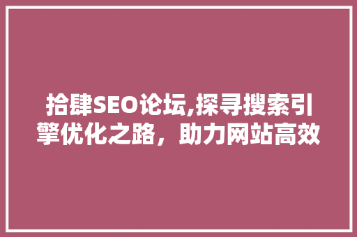 拾肆SEO论坛,探寻搜索引擎优化之路，助力网站高效发展 拾肆SEO论坛,探寻搜索引擎优化之路，助力网站高效发展 百度SEO