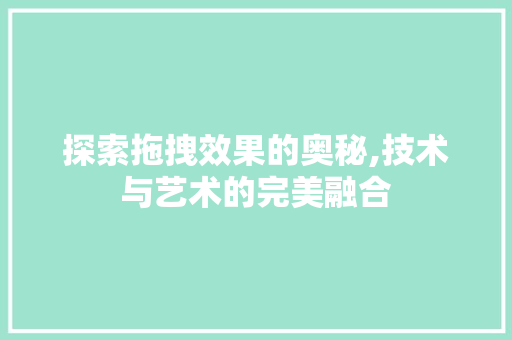 探索拖拽效果的奥秘,技术与艺术的完美融合 探索拖拽效果的奥秘,技术与艺术的完美融合 GoogleSEO