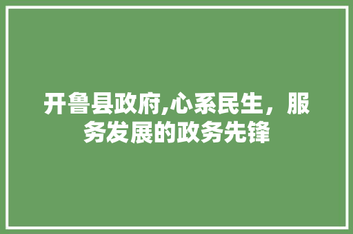 开鲁县政府,心系民生，服务发展的政务先锋 开鲁县政府,心系民生，服务发展的政务先锋 必应SEO