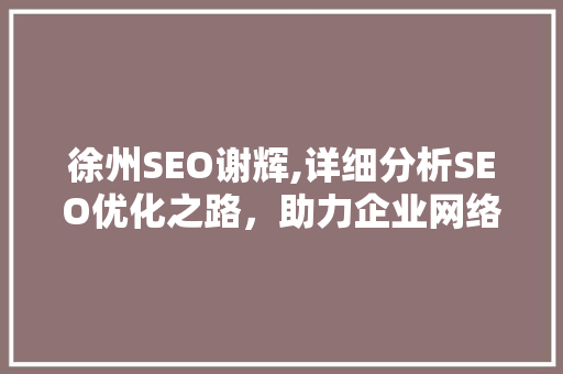 徐州SEO谢辉,详细分析SEO优化之路，助力企业网络营销腾飞 徐州SEO谢辉,详细分析SEO优化之路，助力企业网络营销腾飞 GoogleSEO