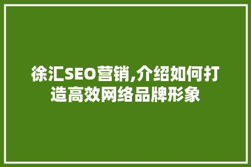 徐汇SEO营销,介绍如何打造高效网络品牌形象 徐汇SEO营销,介绍如何打造高效网络品牌形象 百度SEO