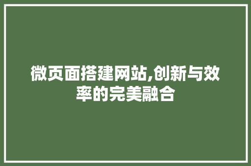 微页面搭建网站,创新与效率的完美融合 微页面搭建网站,创新与效率的完美融合 GoogleSEO