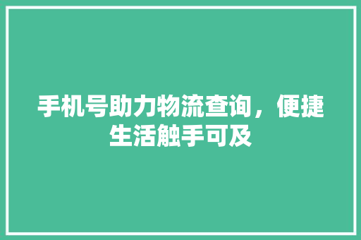 手机号助力物流查询，便捷生活触手可及 手机号助力物流查询，便捷生活触手可及 GoogleSEO