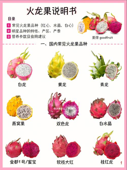 火龙果的另一个名字叫什么「火龙果为什么叫神仙果呢」 GoogleSEO 火龙果的另一个名字叫什么「火龙果为什么叫神仙果呢」 火龙果的另一个名字叫什么「火龙果为什么叫神仙果呢」 GoogleSEO