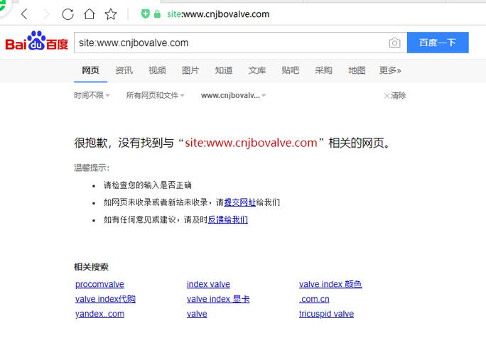网站明明被收录了,为什么就是收不到「为什么大网站收录快」 必应SEO 网站明明被收录了,为什么就是收不到「为什么大网站收录快」 网站明明被收录了,为什么就是收不到「为什么大网站收录快」 必应SEO