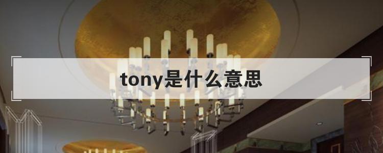 tony是什么意思「present为什么有两个读音」 百度SEO tony是什么意思「present为什么有两个读音」 tony是什么意思「present为什么有两个读音」 百度SEO