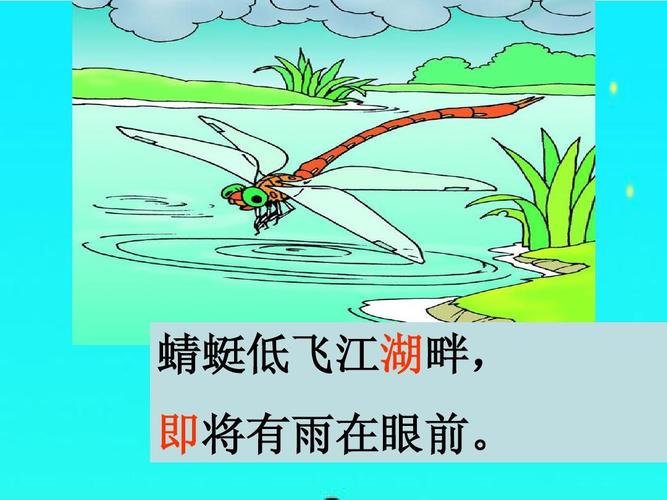 鸟低飞是什么现象「雨天小鸟为什么飞得低呢」 百度SEO 鸟低飞是什么现象「雨天小鸟为什么飞得低呢」 鸟低飞是什么现象「雨天小鸟为什么飞得低呢」 百度SEO