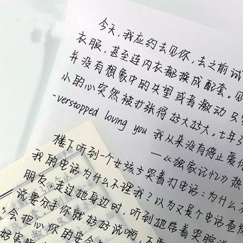 什么是鲸落体字体「为什么书面一般是宋体字」 GoogleSEO 什么是鲸落体字体「为什么书面一般是宋体字」 什么是鲸落体字体「为什么书面一般是宋体字」 GoogleSEO