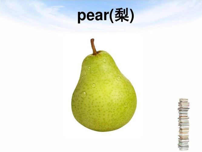 Pear,是可数还是不可数「吃梨英文怎么读」 神马SEO Pear,是可数还是不可数「吃梨英文怎么读」 Pear,是可数还是不可数「吃梨英文怎么读」 神马SEO