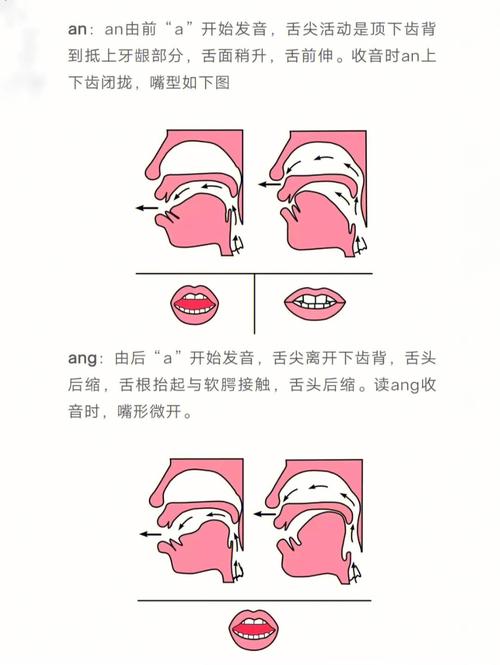 前鼻音an发音的字「ice是元音开头吗」 神马SEO 前鼻音an发音的字「ice是元音开头吗」 前鼻音an发音的字「ice是元音开头吗」 神马SEO