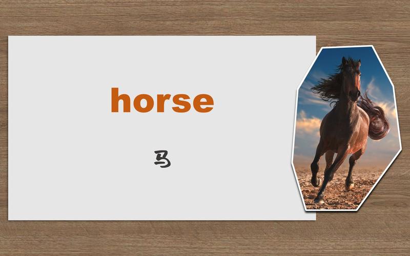 马是加s还是加es「horse有没有复数形式」 必应SEO 马是加s还是加es「horse有没有复数形式」 马是加s还是加es「horse有没有复数形式」 必应SEO