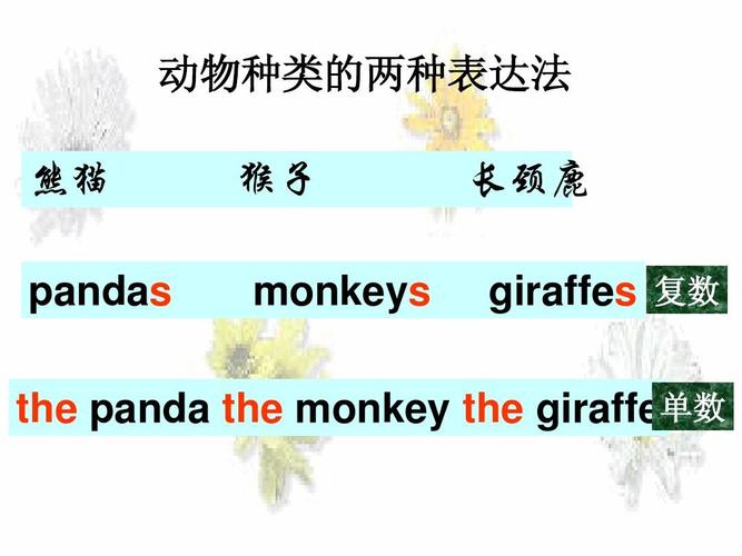 最全的英语字母组合「猴子英文复数为什么直接加s」 必应SEO 最全的英语字母组合「猴子英文复数为什么直接加s」 最全的英语字母组合「猴子英文复数为什么直接加s」 必应SEO