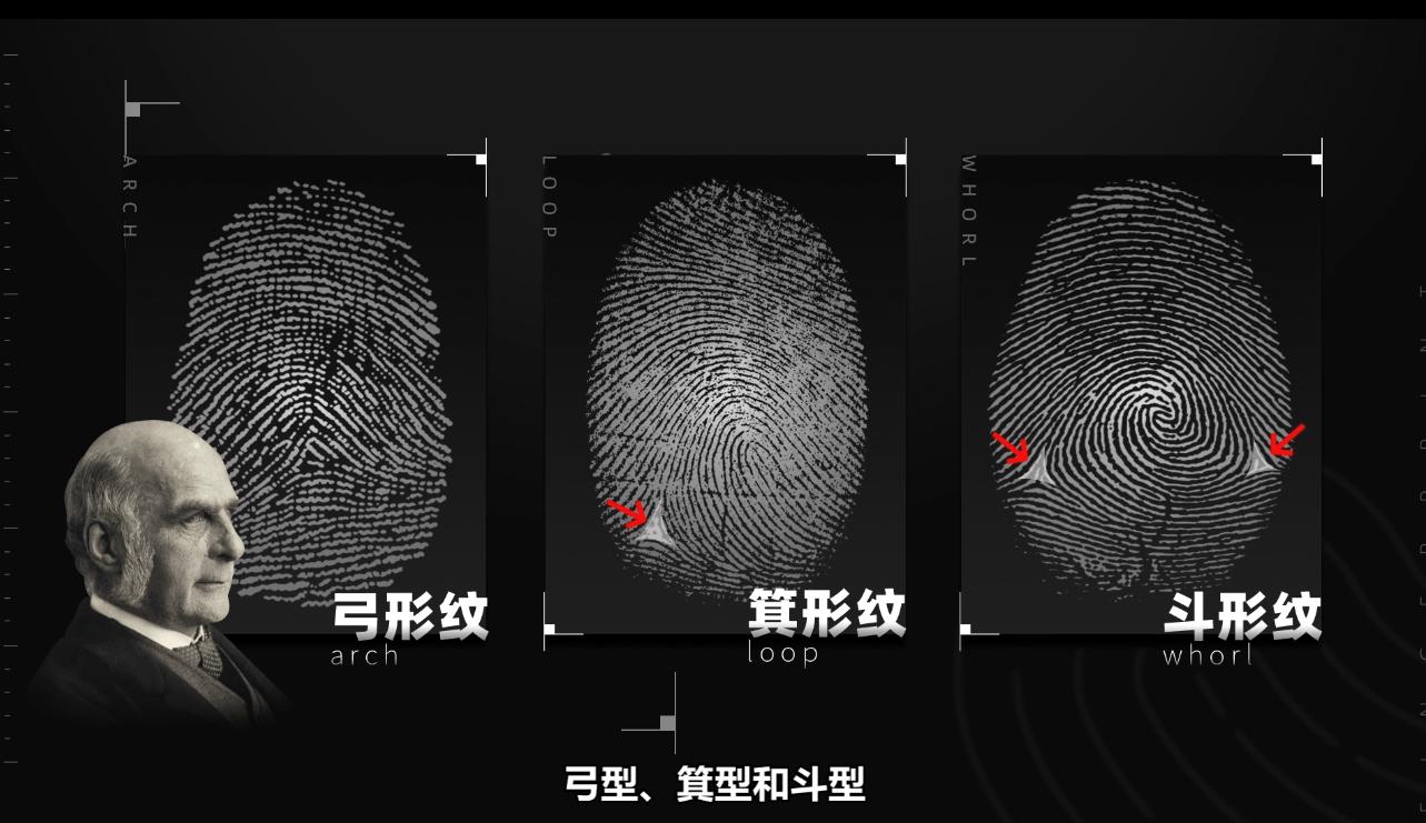 指纹有哪些形状?它们各自的特点是什么「为什么指纹这么奇怪呢」 必应SEO 指纹有哪些形状?它们各自的特点是什么「为什么指纹这么奇怪呢」 指纹有哪些形状?它们各自的特点是什么「为什么指纹这么奇怪呢」 必应SEO