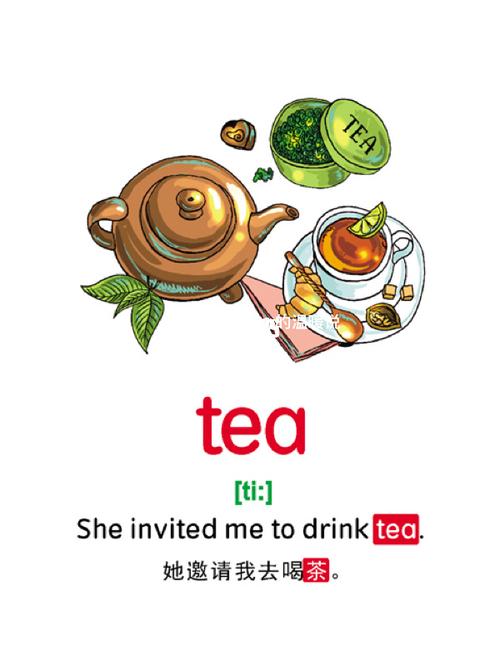 see和tea和eat发音相同吗「see和tea的音标」 必应SEO see和tea和eat发音相同吗「see和tea的音标」 see和tea和eat发音相同吗「see和tea的音标」 必应SEO