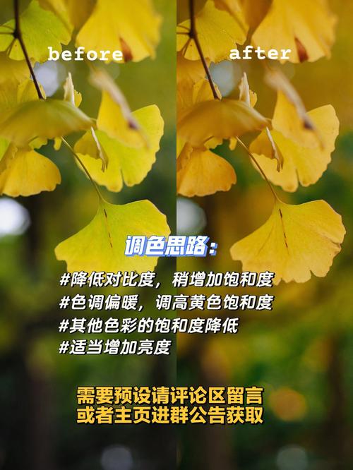 想提升自己手机摄影的水平,是在拍摄方面下功夫好,还是在后期修图方面下功夫好?为什么「为什么前期制作很重要呢」 必应SEO 想提升自己手机摄影的水平,是在拍摄方面下功夫好,还是在后期修图方面下功夫好?为什么「为什么前期制作很重要呢」 想提升自己手机摄影的水平,是在拍摄方面下功夫好,还是在后期修图方面下功夫好?为什么「为什么前期制作很重要呢」 必应SEO