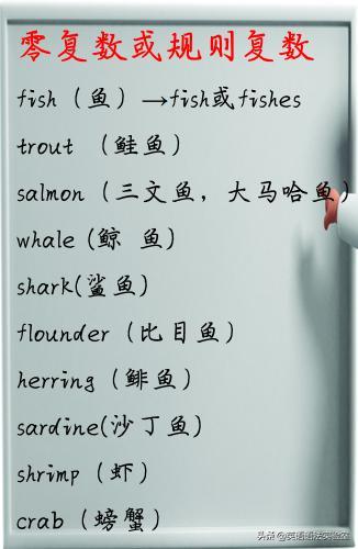 fish是单复数同形吗「剪刀为什么是复数的单词」 神马SEO fish是单复数同形吗「剪刀为什么是复数的单词」 fish是单复数同形吗「剪刀为什么是复数的单词」 神马SEO