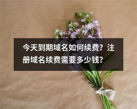 域名注册完每年还需要交钱吗「为什么域名需要续费呢」 神马SEO 域名注册完每年还需要交钱吗「为什么域名需要续费呢」 域名注册完每年还需要交钱吗「为什么域名需要续费呢」 神马SEO