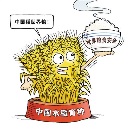 为什么华人难为华人「人类为什么不团结窝里斗粮呢」 必应SEO 为什么华人难为华人「人类为什么不团结窝里斗粮呢」 为什么华人难为华人「人类为什么不团结窝里斗粮呢」 必应SEO