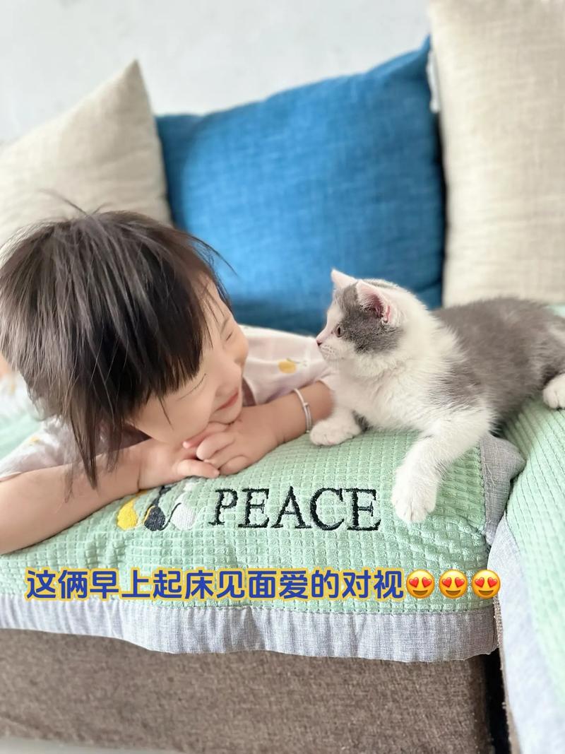 小猫像小孩一样叫是在干嘛「为什么称呼小猫为小孩呢」 百度SEO 小猫像小孩一样叫是在干嘛「为什么称呼小猫为小孩呢」 小猫像小孩一样叫是在干嘛「为什么称呼小猫为小孩呢」 百度SEO