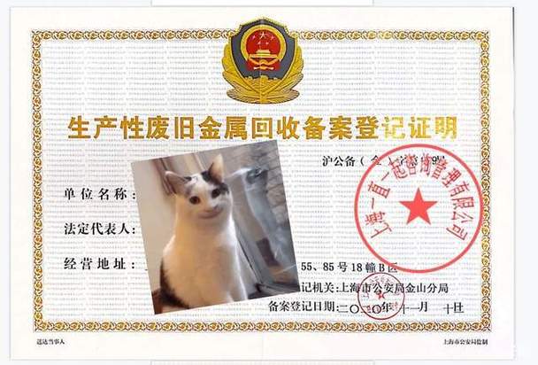 为什么废铁回收有限公司需要备案「备案号为什么会被收回呢」 必应SEO 为什么废铁回收有限公司需要备案「备案号为什么会被收回呢」 为什么废铁回收有限公司需要备案「备案号为什么会被收回呢」 必应SEO