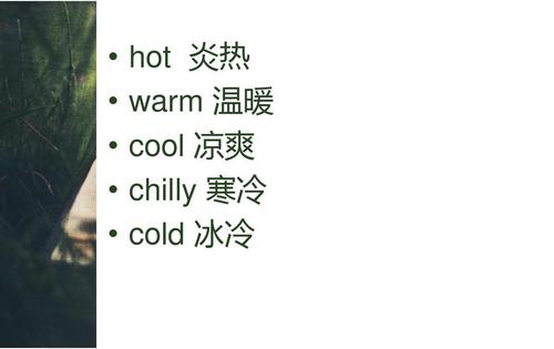 go cold turkey中文是什么意思「cold和go发音一样吗」 神马SEO go cold turkey中文是什么意思「cold和go发音一样吗」 go cold turkey中文是什么意思「cold和go发音一样吗」 神马SEO
