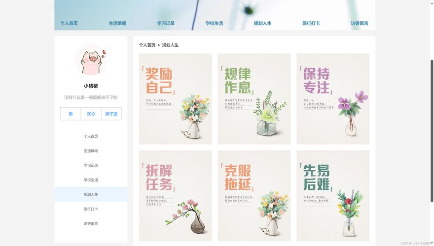 C网页设计,打造专业网站的必备技能 C网页设计,打造专业网站的必备技能 百度SEO