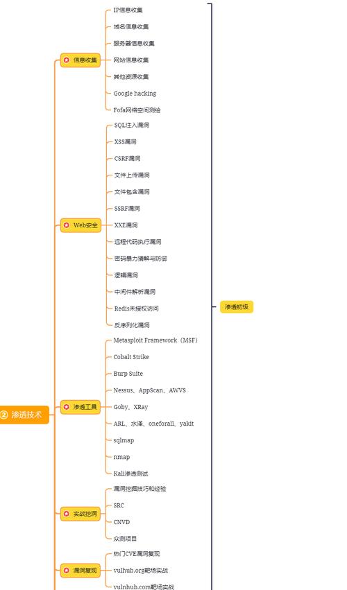 介绍C盗号程序,网络安全漏洞与防范步骤 搜狗SEO 介绍C盗号程序,网络安全漏洞与防范步骤 介绍C盗号程序,网络安全漏洞与防范步骤 搜狗SEO