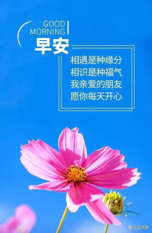 清晨的第一缕阳光,程序代码中的“早上好” 百度SEO 清晨的第一缕阳光,程序代码中的“早上好” 清晨的第一缕阳光,程序代码中的“早上好” 百度SEO