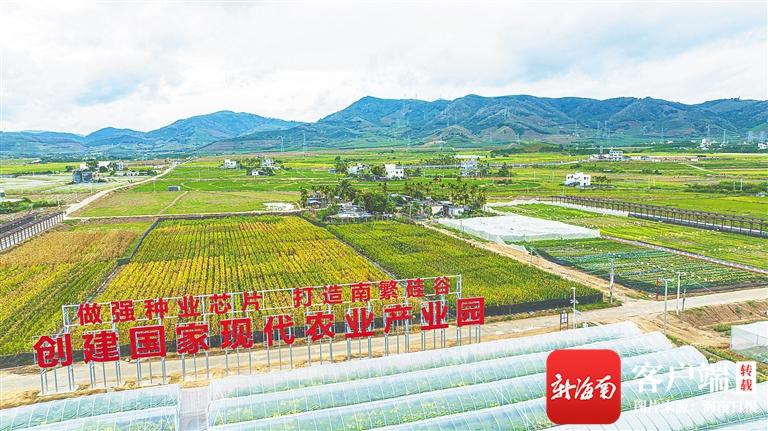 海南省,活力四射的互联网创新热土 GoogleSEO 海南省,活力四射的互联网创新热土 海南省,活力四射的互联网创新热土 GoogleSEO