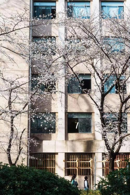 COCO程序,详细学习领域的里程碑式突破 百度SEO COCO程序,详细学习领域的里程碑式突破 COCO程序,详细学习领域的里程碑式突破 百度SEO