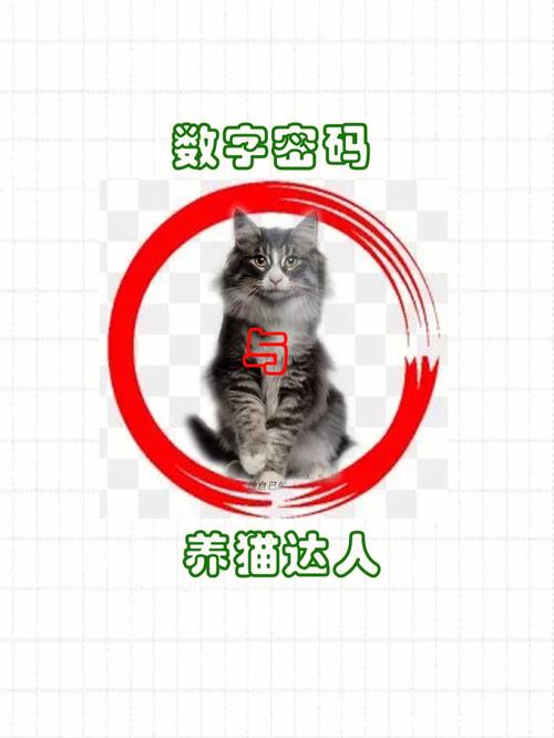 奇特的网站设计图标,数字世界的视觉密码 必应SEO 奇特的网站设计图标,数字世界的视觉密码 奇特的网站设计图标,数字世界的视觉密码 必应SEO