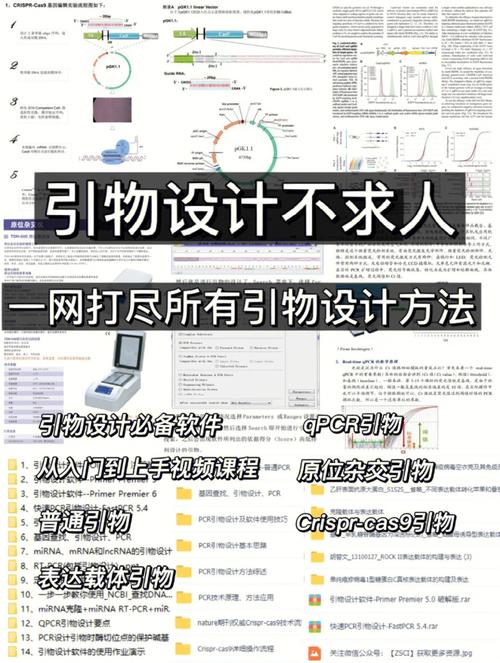 探索设计引物在线网站,高效科研的得力助手 神马SEO 探索设计引物在线网站,高效科研的得力助手 探索设计引物在线网站,高效科研的得力助手 神马SEO