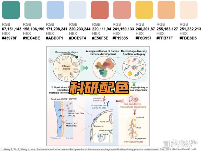 搜题网站配色设计的艺术与科学_打造高效学习体验的关键 GoogleSEO 搜题网站配色设计的艺术与科学_打造高效学习体验的关键 搜题网站配色设计的艺术与科学_打造高效学习体验的关键 GoogleSEO