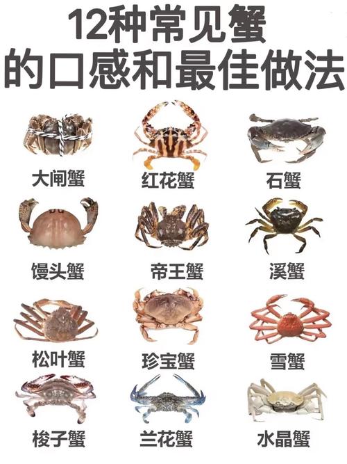 数字时代的艺术殿堂,探索个性化网站设计的魅力与价值 神马SEO 数字时代的艺术殿堂,探索个性化网站设计的魅力与价值 数字时代的艺术殿堂,探索个性化网站设计的魅力与价值 神马SEO