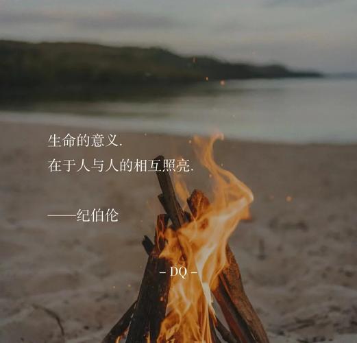 诗意盎然,网站创意_以诗句为灵感之源的网站设计 神马SEO 诗意盎然,网站创意_以诗句为灵感之源的网站设计 诗意盎然,网站创意_以诗句为灵感之源的网站设计 神马SEO
