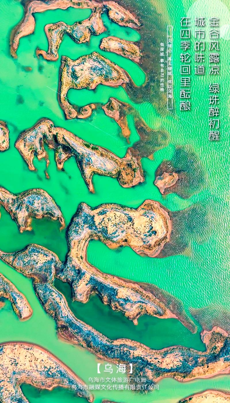乌海旅游,探寻内蒙古的绿色明珠 神马SEO 乌海旅游,探寻内蒙古的绿色明珠 乌海旅游,探寻内蒙古的绿色明珠 神马SEO